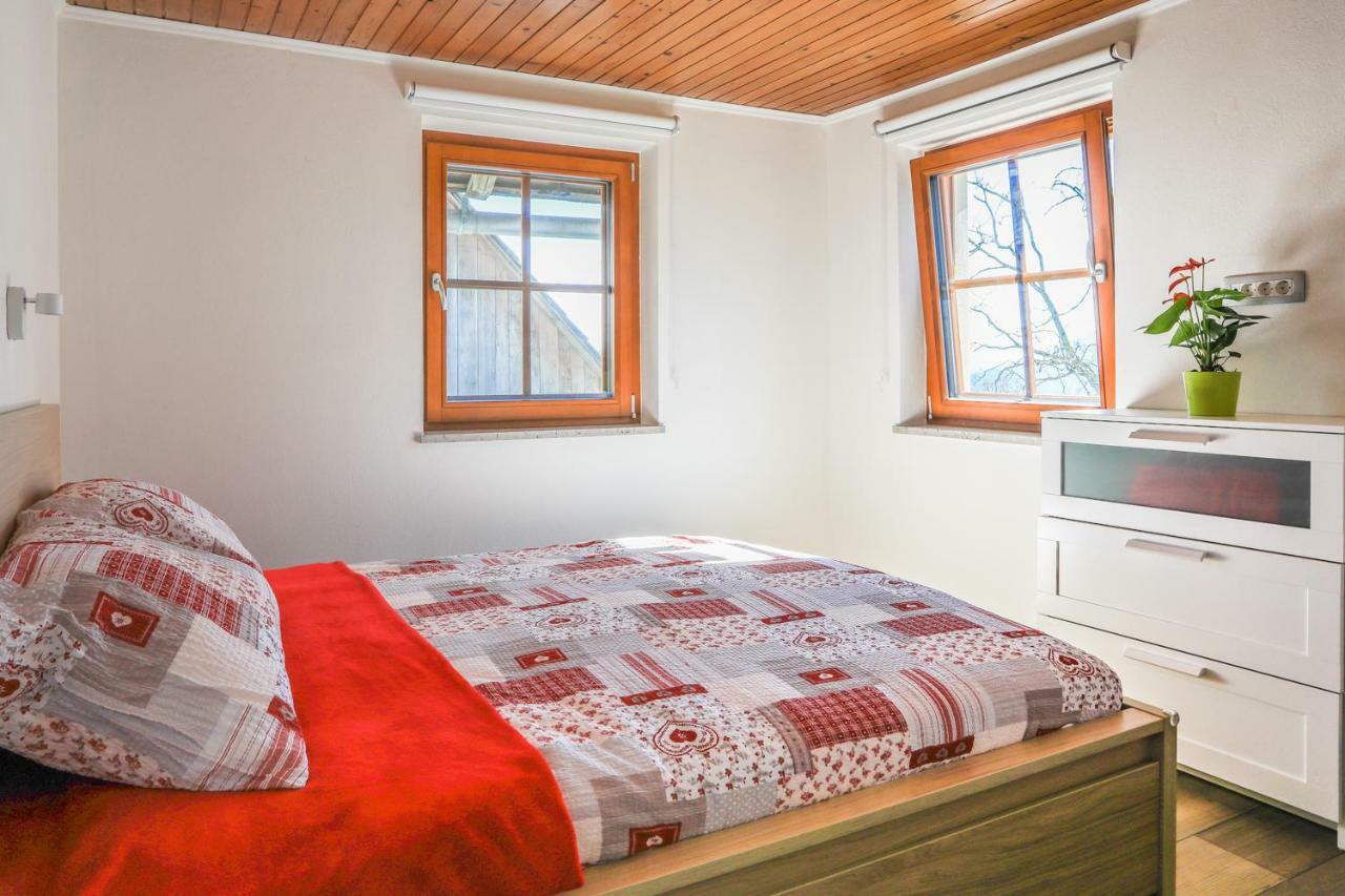 Apartmaji Tina Zgornje Gorje Ngoại thất bức ảnh